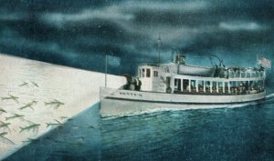 1920's Steamer Betty Flying Fish At Night Catalina Island Vintage Postcard P35