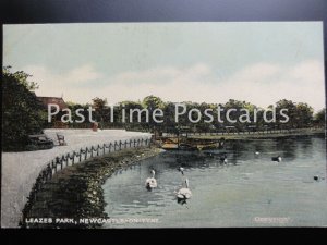 c1906 - LEAZES PARK, Newcastle-on-Tyne - showing Swans and Boat Hire Station