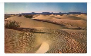 AZ - Arizona Desert Sand Dunes