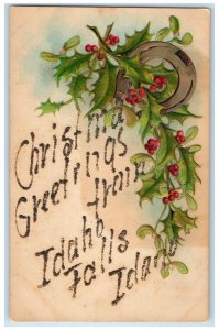 1907 Christmas Greetings from Idaho Falls Idaho ID Glitters Posted Postcard