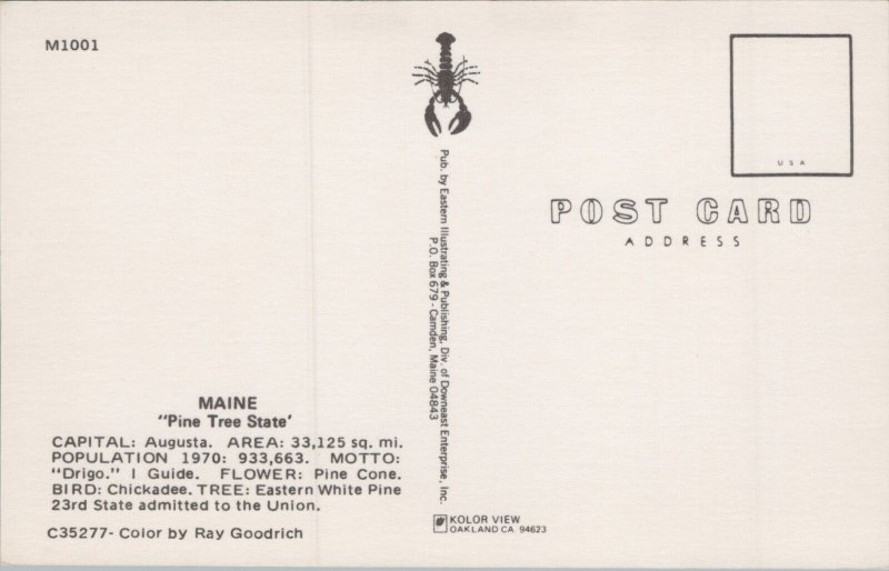 USA Maine Augusta Pine Tree State Vintage Postcard C330