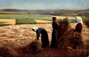 Farming Scene Harvesting Hay