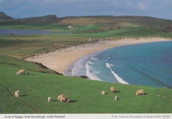 A Rainbow At Durness Scottish Postcard