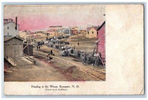 Kenmare North Dakota Postcard Hauling Wheat Exterior View 1908 Vintage Antique