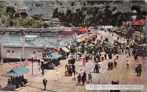 AVALON SANTA CATALINA ISLAND CALIFORNIA POSTCARD 1910