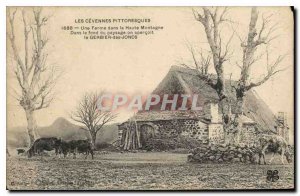 Old Postcard Cevennes A Picturesque Farm in the High Mountain in the backgrou...