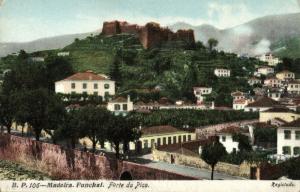 portugal, MADEIRA FUNCHAL, Forte do Pico, Panorama (1910s) Postcard