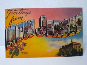 Greetings From New Jersey Large Letter Postcard Linen Violet State Flower Unused