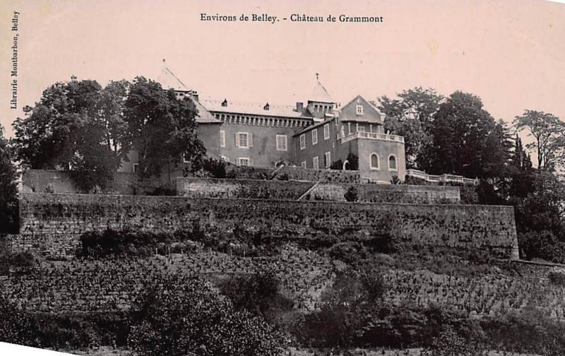 env. BELLEY : chateau de grammont - tres bon etat