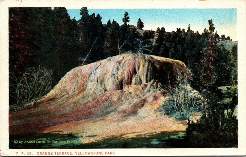 Orange Terrace Yellowstone National Park Mammoth Hot Springs WB Postcard VTG UNP 