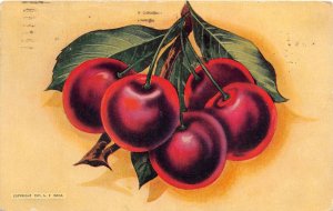 J58/ Rock Island Illinois Postcard c1910 L.E. West Gum Company Cherry 98