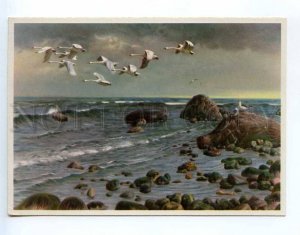 237581 RUSSIA HUNT swan old postcard