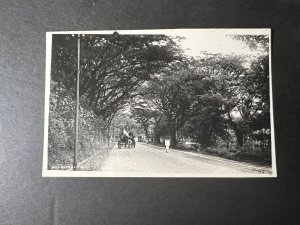 Mint Kuala Lumpur Postcard Malaysia RPPC Bath Road Street View