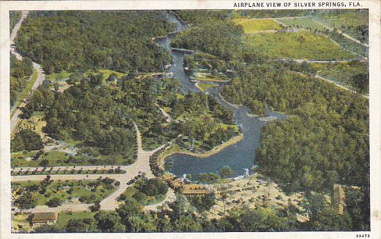 Florida Silver Springs Airplane View Curteich