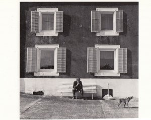 Yvon Lambert Belgium 1985 Dog Howling Giant Shutter Frame Windows Postcard