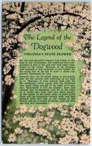 Postcard - The Legend of the Dogwood, Virginia's State Flower - Virginia