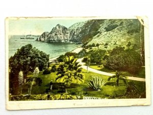 Vintage Postcard 1900's View From Banning's Residence Santa Catalina Island