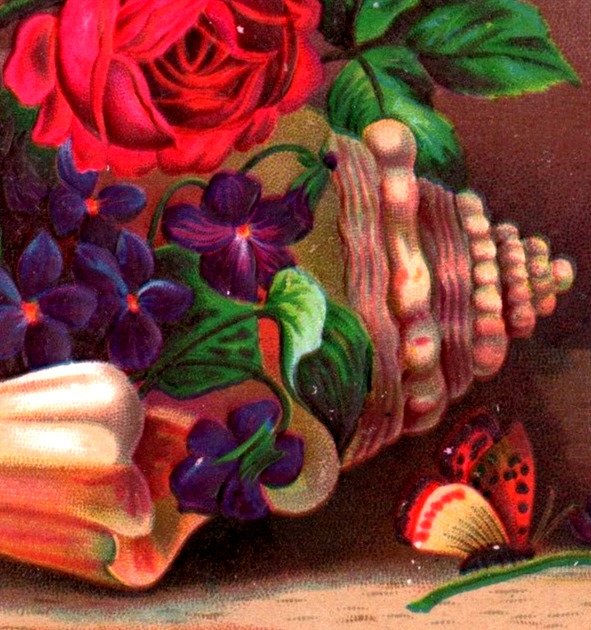 1880s Embossed Victorian Cards Seashells Butterfly Moth Flowers Lot Of 2 #6D