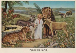 Peace On Earth FLA Freytag Book Of The Day Swiss Postcard