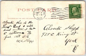 1909 Carnegie Library And City Hall Park Allegheny Pennsylvania Posted Postcard