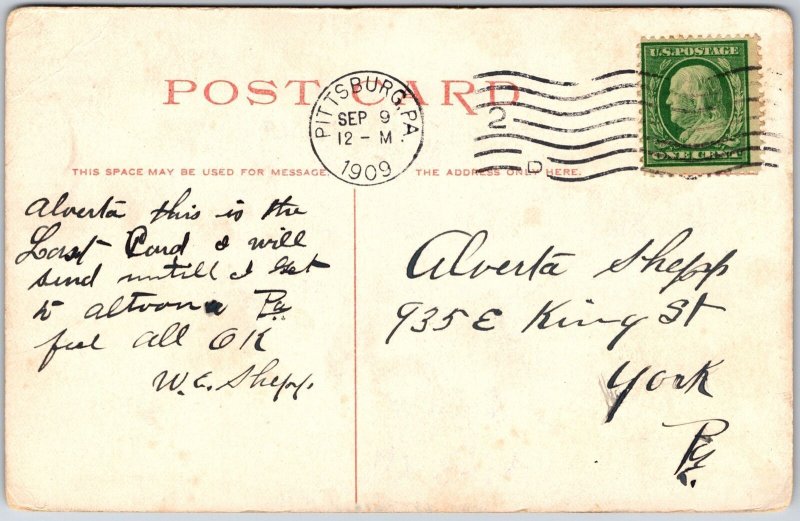 1909 Carnegie Library And City Hall Park Allegheny Pennsylvania Posted Postcard