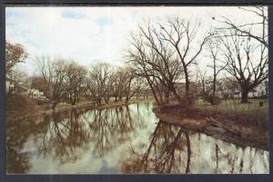 Shiawassee River,Owosso,MI BIN