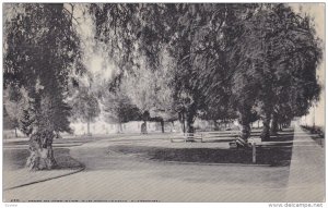 View In City Park, SAN BERNARDINO, California, 1900-1910s