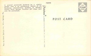 Gift Shops Along Promenade Silver Springs Florida postcard