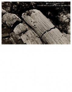 Petrified Forest, Arizona