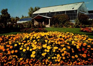 Canada Calgary Zoo Marigolds and The Tropical Aviary