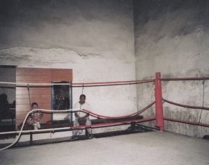 Boxing Ring Torn Apart By Crazy Boxer UNIQUE London Photo Agency Art Postcard