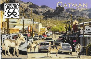 Oatman Arizona Route 66 Old Mining Town Wild Burros Oatman Arizona 4 by 6