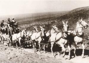 Six Horse Stagecoach near Saratoga Wyoming Circa 1894 Western USA - Recent Print