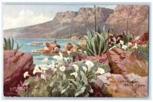 c1910 Near Camps Bay Cape Town South Africa Oilette Tuck Art Postcard