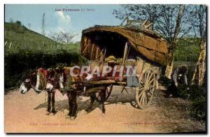 Old Postcard The Pyrenees hitch Bearnais Donkey Donkey mule TOP