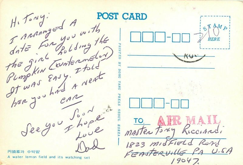 Farming Watermelon Lemon Field and Watching Set Seoul Koera pm Postcard