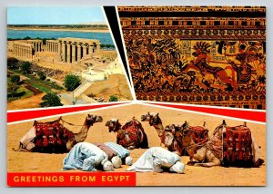 Muslim Arab Men Praying   Egypt  Postcard