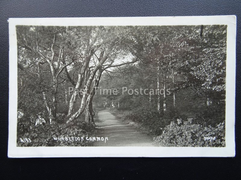 London WIMBLEDON COMMON c1922 Postcard by Jony8 4193