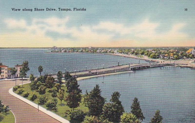 Florida Tampa View Along Shore Drive 1950