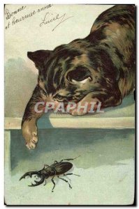 Postcard Old Cat Cats Kitten Bug