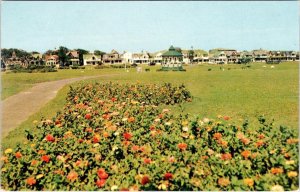 Oak Bluffs MA Massachusetts OCEAN PARK & HOMES Martha's Vineyard c1950s Postcard