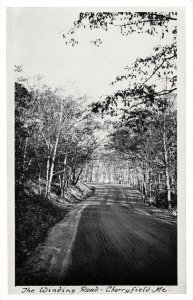 The Winding Road Cherryfield, Maine Real Photo Postcard 10C1-421 