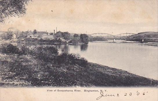 New York Binghamton View Of Susquehanna River