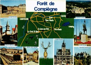 CPM Compiegne Foret de Compiegne FRANCE (1014642)