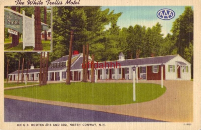 THE WHITE TRELLIS MOTEL NORTH CONWAY, NH. Bob and Norma Lucy, owners 1956