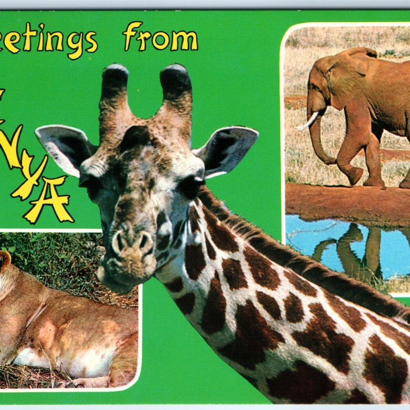 c1970s Kenya, Africa Greetings from Giraffe Lion Elephant Chrome Photo 4x6 PC M5