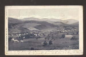 ROXBURY CATSKILL MOUNTAINS BIRDSEYE VIEW DEL COUNTY NY VINTAGE POSTCARD 1905