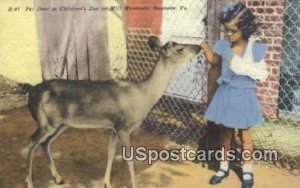 Pet Deer, Children's Zoo, Mill Mountains - Roanoke, Virginia