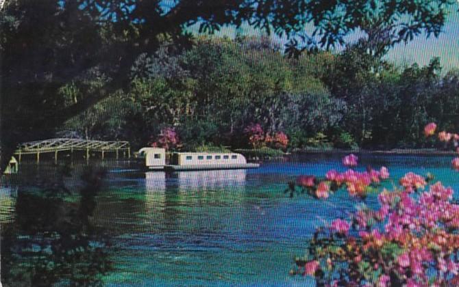 Florida Rainbow Springs Photo Sub 1956