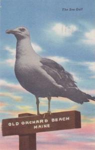 The Sea Gull - Old Orchard Beach, Maine - pm 1953 - Linen